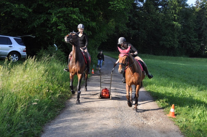 DSC_0132 - HOMEPAGE.JPG